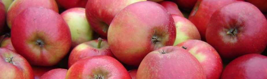 Appels - Red apples